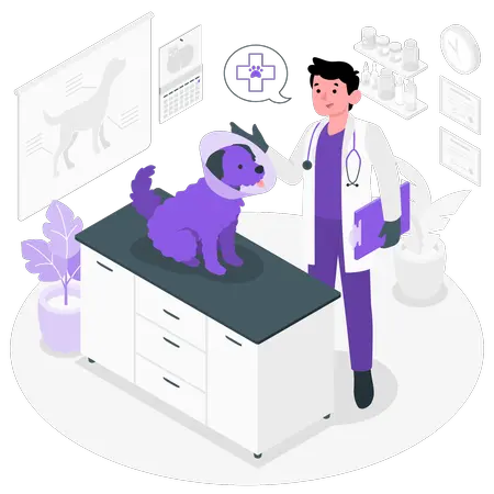 Veterinarian Email List
